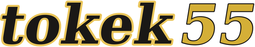 tokek55 logo